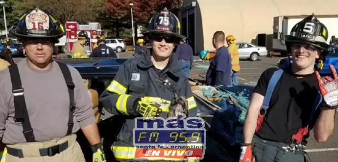 Springsteen bombero? 1 noticias Springsteen bombero